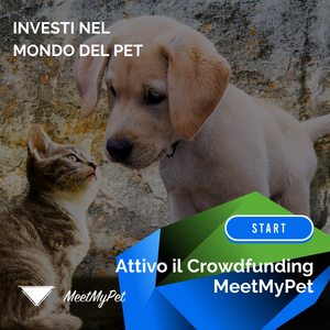 Crowdfunding Pet MeetMyPet